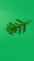 Tree branch with cones and mountain ash. New Year and Christmas content vertical stop motion animation video