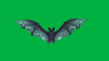 bat flying animation video