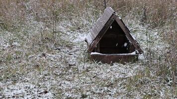 A lonely, abandoned dog house sits quietly in a snowy and serene field, evoking deep nostalgia video