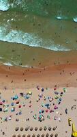 Aerial view of crowded sandy beach in summer video