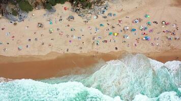 Crowded Beach on a Sunny Day With Waves Crashing in at a Coastal Destination video