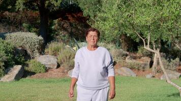 Elderly Woman Practicing Tai Chi in a Serene Garden on a Sunny Afternoon video