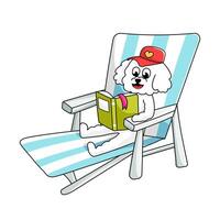 Cute fluffy white dog in pink cap lying on beach chair and reading a book vector