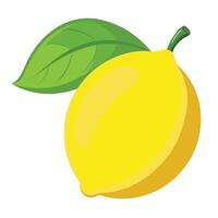 Fresh Lemon with Slice - Illustration. vector