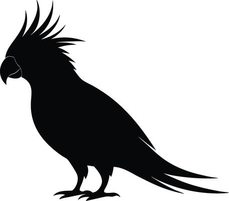 Black Parrot Silhouette with Distinctive Crest Illustration.