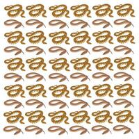 eel and anaconda as a pattern background vector