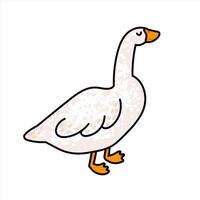 Colorful Illustration of White Goose Isolated on White Background vector