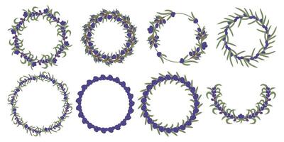 Eight different circular and semicircular olive frames creating a decorative and elegant design vector