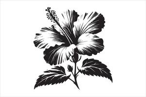 Hibiscus Flower Line Art - Printable Coloring Book Page vector