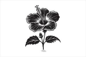 Hibiscus Flower Plant - Detailed Coloring Book Page Design vector