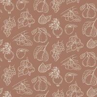 Seamless pattern of hand drawn fruits including pomegranates, pears, grapes, figs, and cherries on trendy mocha mousse background, showcasing elegant line art. vector