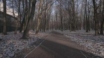 POv walking in park in cold day in winter video
