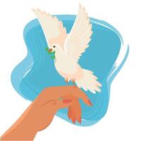 Side view dove with olive branch perched on hand vector