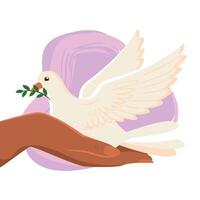 Dove resting on hand holding olive branch vector