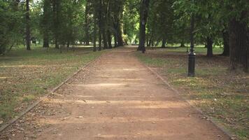 summer background abstract park in the evening video