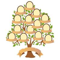 Retro family tree with photo frames and ribbons for inscriptions vector