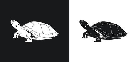 Turtle shadow illustration. vector