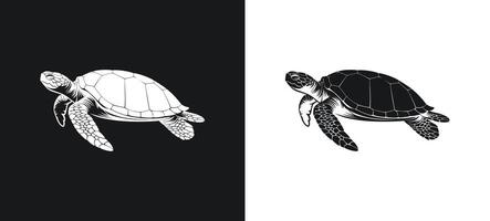 Turtle figure in graphic silhouette. vector