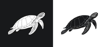 Silhouette of a turtle in graphic design. vector