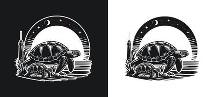 Turtle outline design illustration. vector