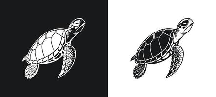 Turtle in shadow form illustration. vector