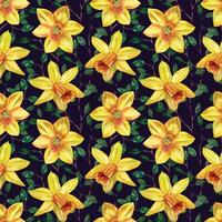 Yellow daffodils and green leaves, branches, hand-painted in watercolor. Seamless watercolor pattern with daffodils on a dark background. For printing on cards, invitations, March 8, spring products vector