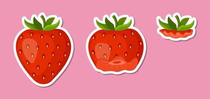 Strawberry sticker set. Stages of biting red berry from Whole, bitten and entirely eaten. bite progression sequence animation of eaten. Hand drawn flat style isolated illustration vector