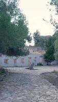 A stone path leads to a house with trees and bushes video