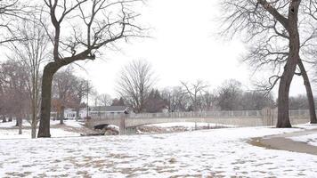 A park with a bridge and trees in the snow video