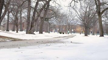 A snow covered park with trees and a path video