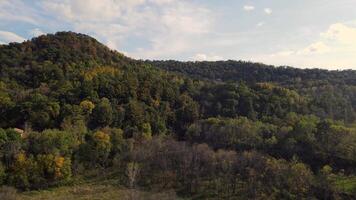 Aerial view of a forested area with trees and hills video