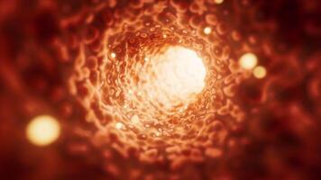 Fantastic organic tunnel with wave details, 3d rendering. video