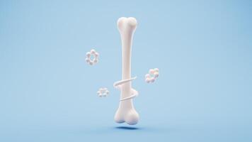 Biological anatomy of the skeleton and bone health, 3d rendering. video
