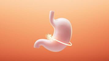 Stomach and nutrient absorption, 3d rendering. video