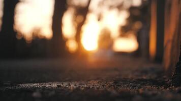 drops fall on the road. the silhouette of a girl runs past video