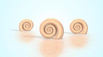 3D Snail Shells on a Reflective Floor. Set of Shells 3D Animation. 4K video