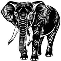 an elephant is standing in a woodcut style vector