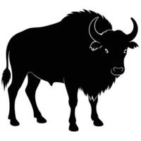 silhouette of a buffalo on a white background vector