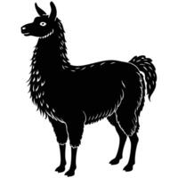 black silhouette of a llama on a white background vector