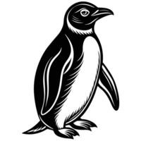 a penguin is standing in front of a white background vector