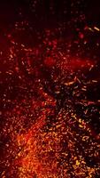 Fiery sparkling sparks carried by the wind rise into the sky, creating a warm effect and immersing you in their magic. video