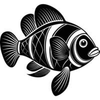 an image of a fish with black and white stripes vector