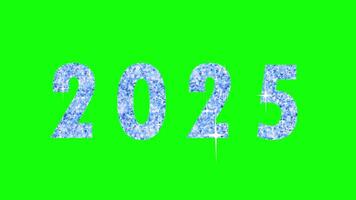 Animated New Year 2025 Glitter Sparkling Text Blue video