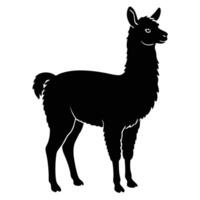 llama silhouette on white background illustration vector
