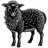 black and white sheep standing in front of a white background vector