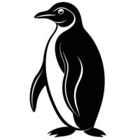 a penguin is standing in front of a white background vector