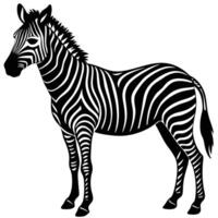 zebra silhouette on white background vector