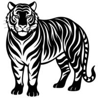 a black and white tiger standing in front of a white background vector