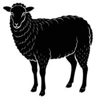 black sheep silhouette on white background vector