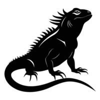 an iguana is standing on its hind legs and has long spikes on its back vector